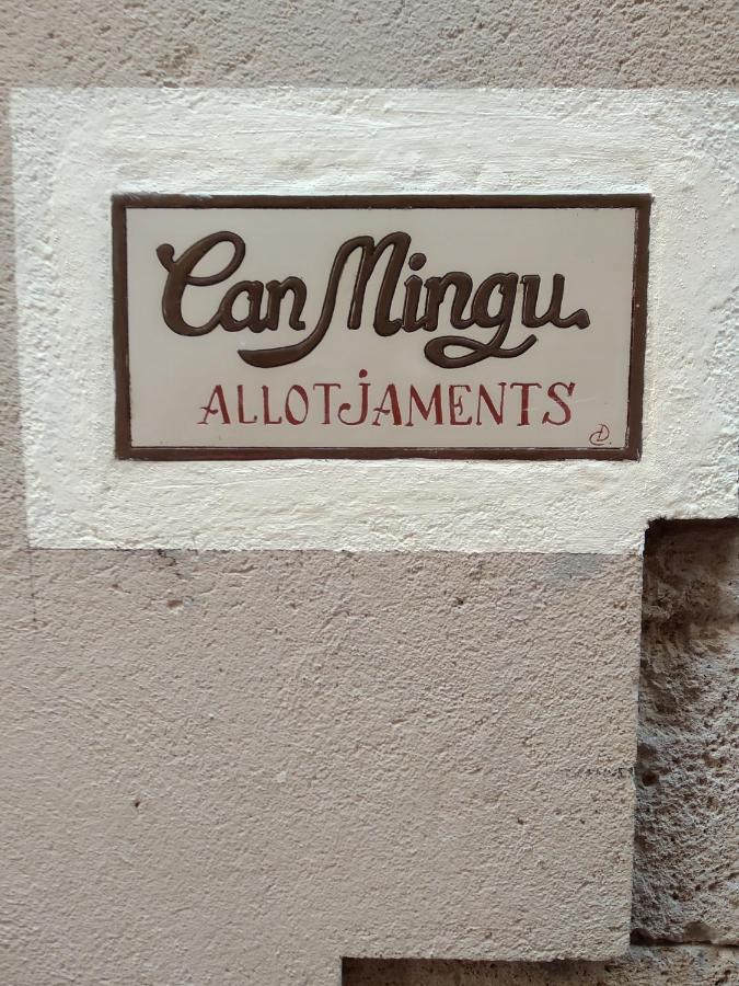 Apartament Can Mingu 1Er Pis Besalu Luaran gambar